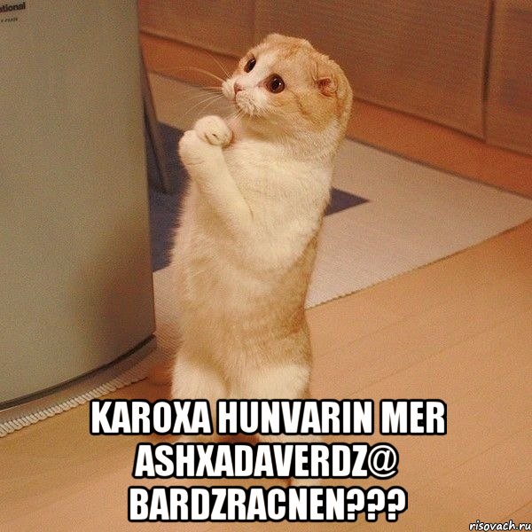  karoxa hunvarin mer ashxadaverdz@ bardzracnen???, Мем  котэ молится