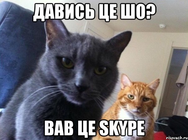 давись це шо? вав це skype