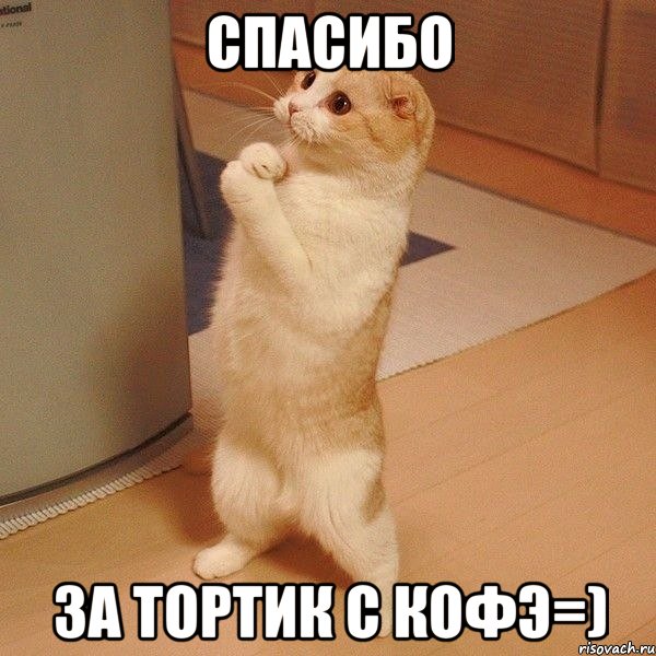 спасибо за тортик с кофэ=), Мем  котэ молится