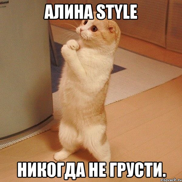 алина style никогда не грусти., Мем  котэ молится