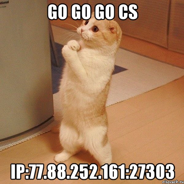 go go go cs ip:77.88.252.161:27303, Мем  котэ молится