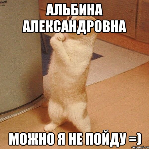 альбина александровна можно я не пойду =), Мем  котэ молится