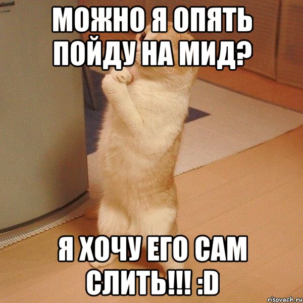 можно я опять пойду на мид? я хочу его сам слить!!! :d, Мем  котэ молится