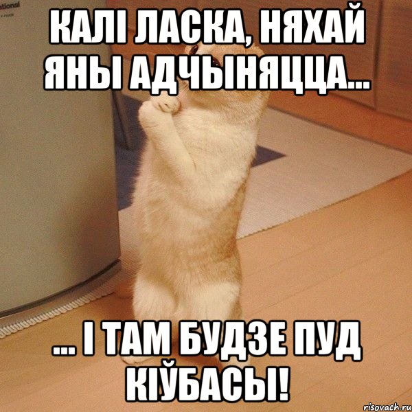 Калі ласка, няхай яны адчыняцца... ... і там будзе пуд кіўбасы!, Мем  котэ молится