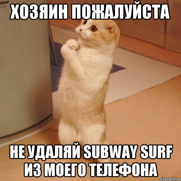 Хозяин пожалуйста не удаляй subway surf из моего телефона, Мем  котэ молится