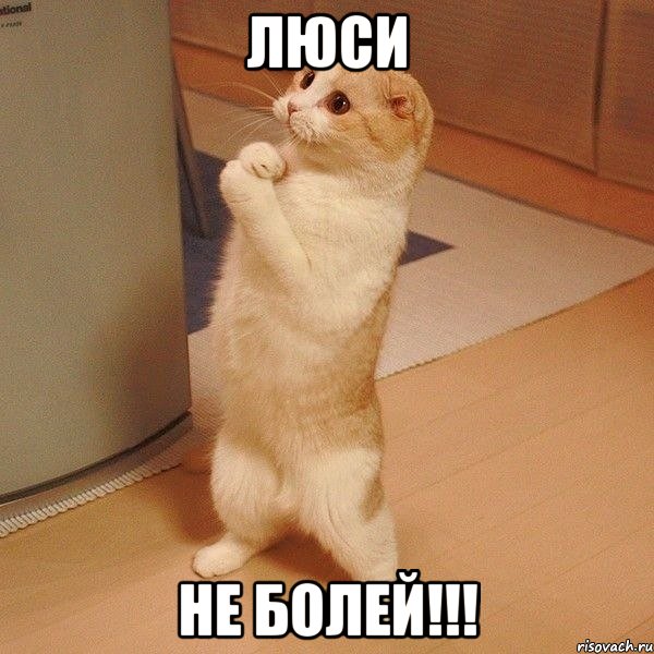 Люси Не болей!!!, Мем  котэ молится