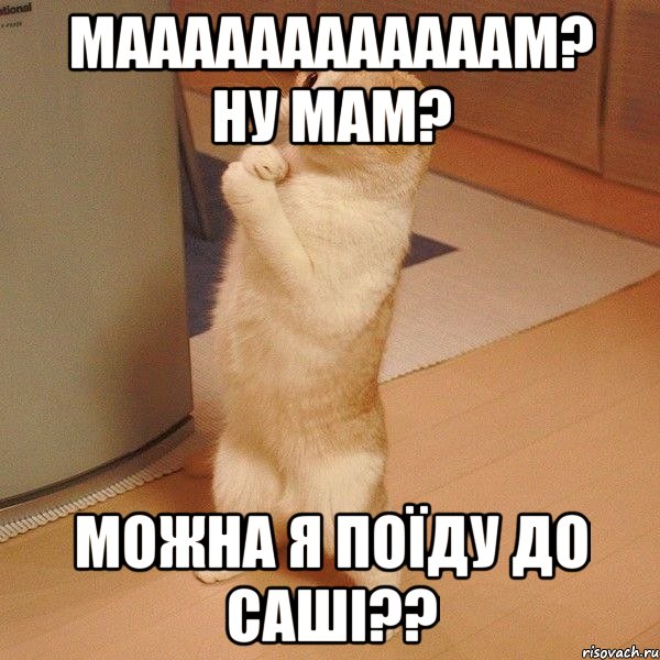 маааааааааааам? ну мам? можна я поїду до Саші??, Мем  котэ молится