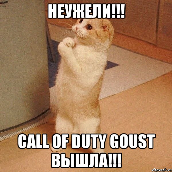 НЕУЖЕЛИ!!! CALL OF DUTY GOUST вышла!!!, Мем  котэ молится