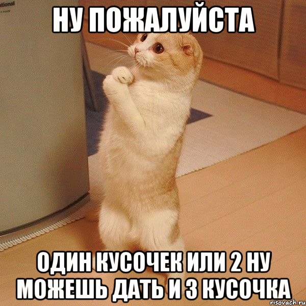 http://risovach.ru/upload/2013/11/mem/kote_36158621_orig_.jpg