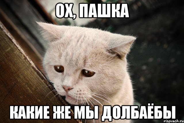 ох, пашка какие же мы долбаёбы