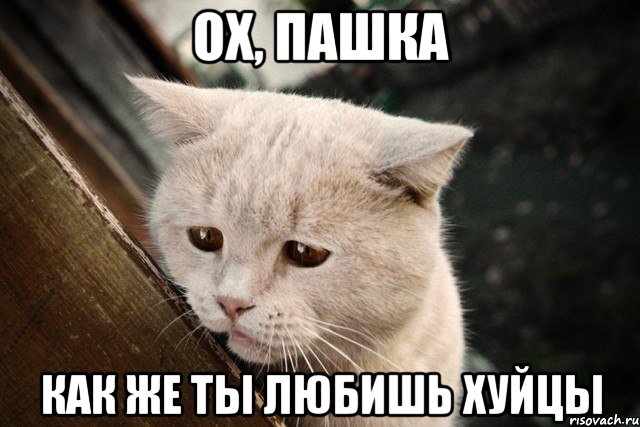 ох, пашка как же ты любишь хуйцы
