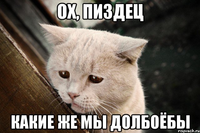 ох, пиздец какие же мы долбоёбы