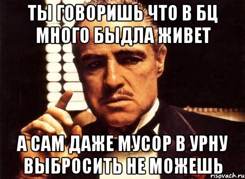 ты говоришь что в бц много быдла живет а сам даже мусор в урну выбросить не можешь, Мем крестный отец