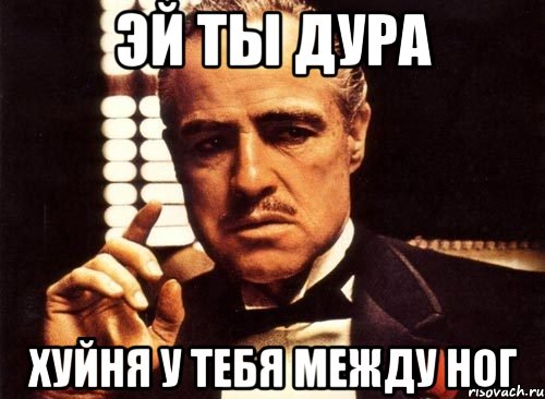 эй ты дура хуйня у тебя между ног, Мем крестный отец