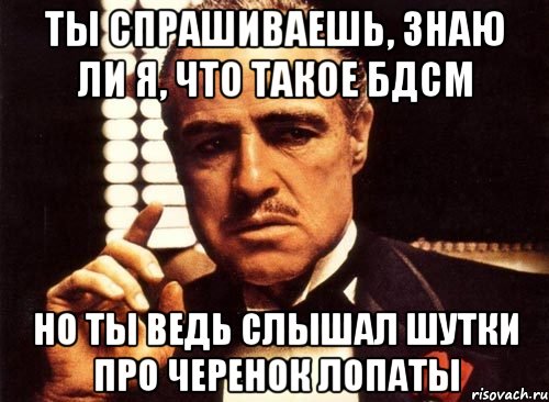 ты спрашиваешь, знаю ли я, что такое бдсм но ты ведь слышал шутки про черенок лопаты, Мем крестный отец