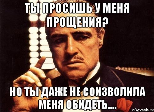 ты просишь у меня прощения? но ты даже не соизволила меня обидеть...., Мем крестный отец