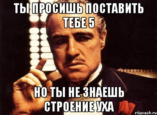 ты просишь поставить тебе 5 но ты не знаешь строение уха, Мем крестный отец