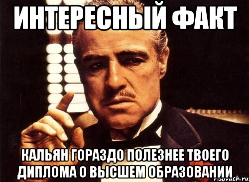 интересный факт кальян гораздо полезнее твоего диплома о высшем образовании, Мем крестный отец