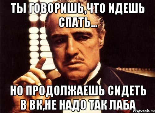 ты говоришь,что идешь спать... но продолжаешь сидеть в вк,не надо так лаба, Мем крестный отец