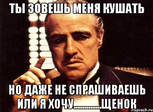 ТЫ ЗОВЕШЬ МЕНЯ КУШАТЬ НО ДАЖЕ НЕ СПРАШИВАЕШЬ ИЛИ Я ХОЧУ.............ЩЕНОК, Мем крестный отец