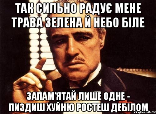 Так сильно радує мене трава зелена й небо біле запам’ятай лише одне - пиздиш хуйню ростеш дебілом, Мем крестный отец