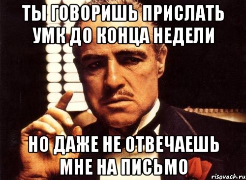 ТЫ ГОВОРИШЬ ПРИСЛАТЬ УМК ДО КОНЦА НЕДЕЛИ НО ДАЖЕ НЕ ОТВЕЧАЕШЬ МНЕ НА ПИСЬМО, Мем крестный отец