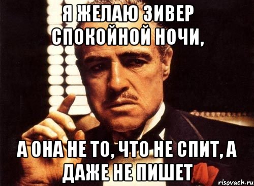 Я желаю Зивер спокойной ночи, А она не то, что не спит, а даже не пишет, Мем крестный отец