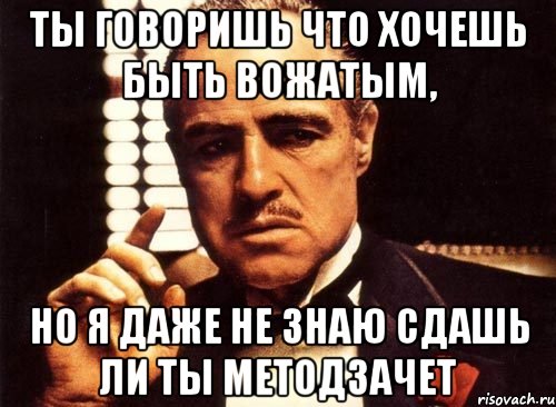 ты говоришь что хочешь быть вожатым, но я даже не знаю сдашь ли ты методзачет, Мем крестный отец