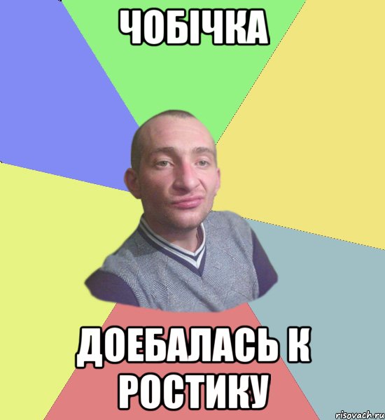 чобічка доебалась к ростику