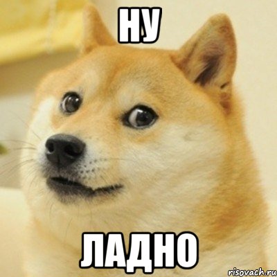 Ну Ладно, Мем doge woof