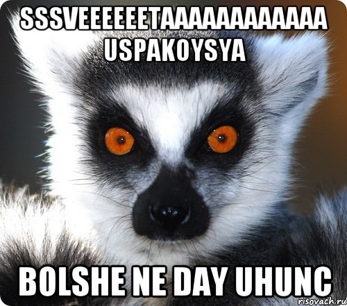 sssveeeeeetaaaaaaaaaaaa uspakoysya bolshe ne day uhunc, Мем лемур