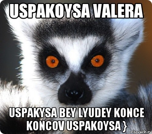 uspakoysa valera uspakysa bey lyudey konce koncov uspakoysa }, Мем лемур