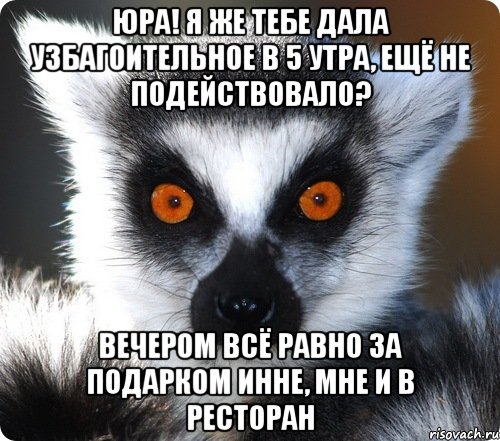 юра! я же тебе дала узбагоительное в 5 утра, ещё не подействовало? вечером всё равно за подарком инне, мне и в ресторан, Мем лемур