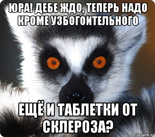 юра! дебе ждо, теперь надо кроме узбогоительного ещё и таблетки от склероза?, Мем лемур