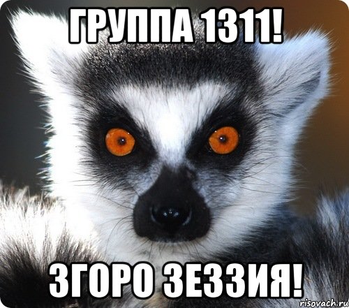 группа 1311! згоро зеззия!, Мем лемур