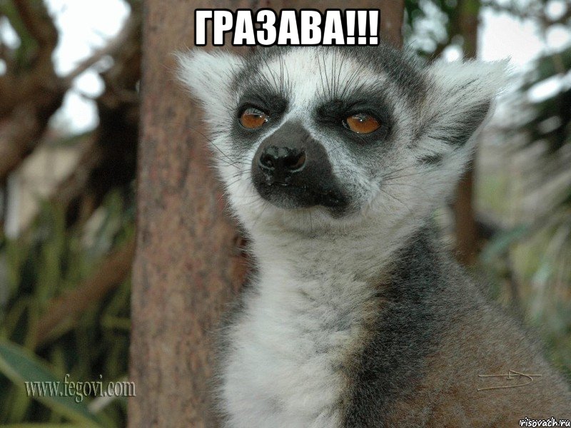 ГРАЗАВА!!! 