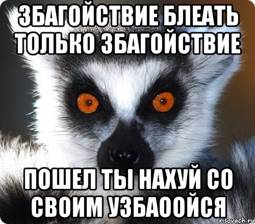 збагойствие блеать только збагойствие пошел ты нахуй со своим узбаоойся, Мем лемур