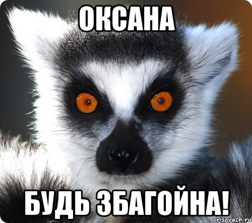 Оксана Будь збагойна!, Мем лемур