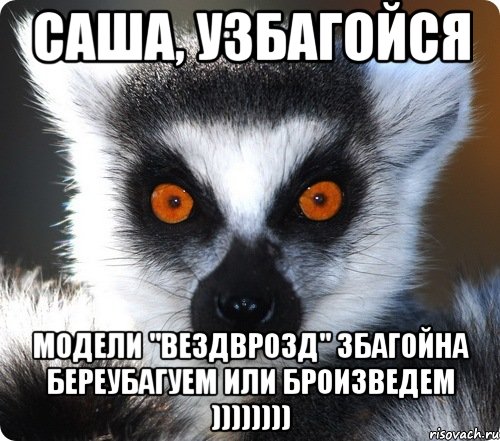 Саша, узбагойся Модели "вездврозд" збагойна береубагуем или броизведем )))))))), Мем лемур