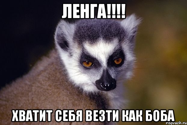 Ленга!!!! хватит себя везти как боба