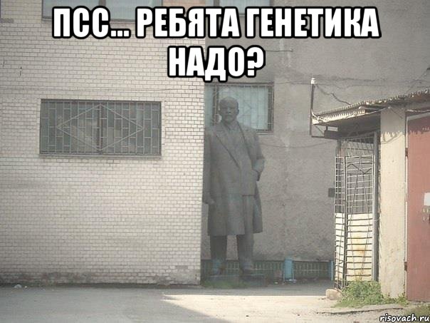 псс... ребята генетика надо? , Мем  Ленин за углом (пс, парень)