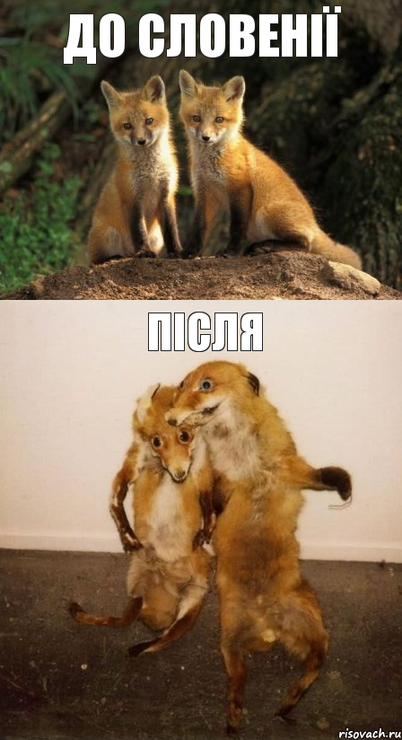 До Словенії Після