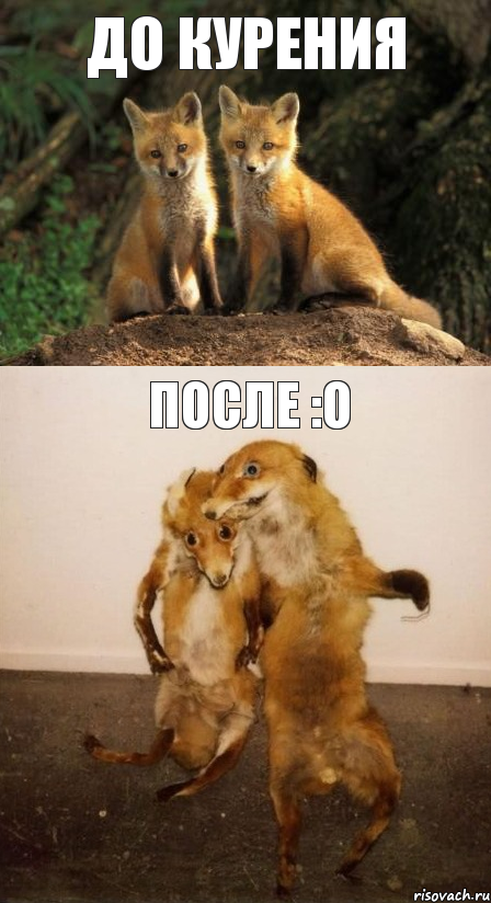До курения После :O