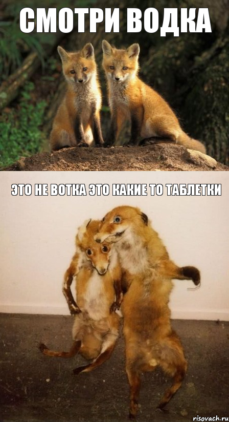 Смотри Водка Это не Вотка Это Какие То Таблетки
