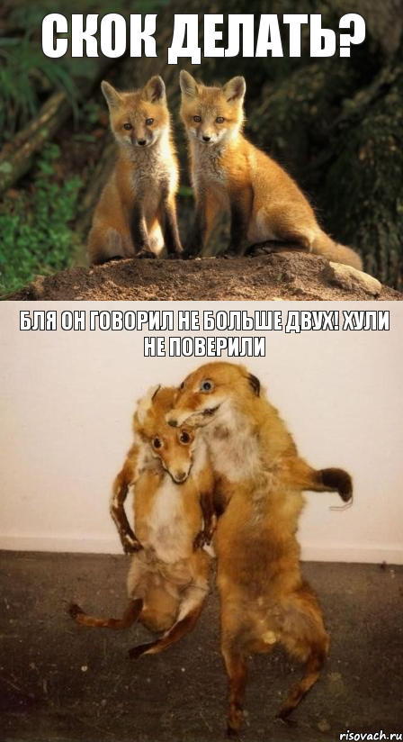 скок делать? БЛя он говорил не больше двух! Хули не поверили