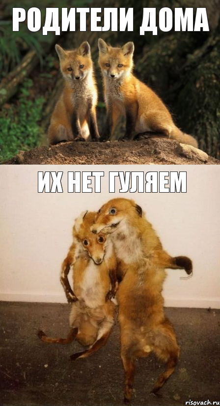 родители дома их нет гуляем