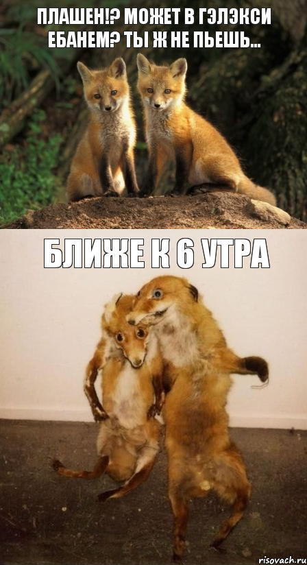 Плашен!? Может в гэлэкси ебанем? Ты ж не пьешь… Ближе к 6 утра