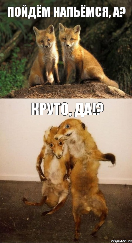 Пойдём напьёмся, а? Круто, да!?
