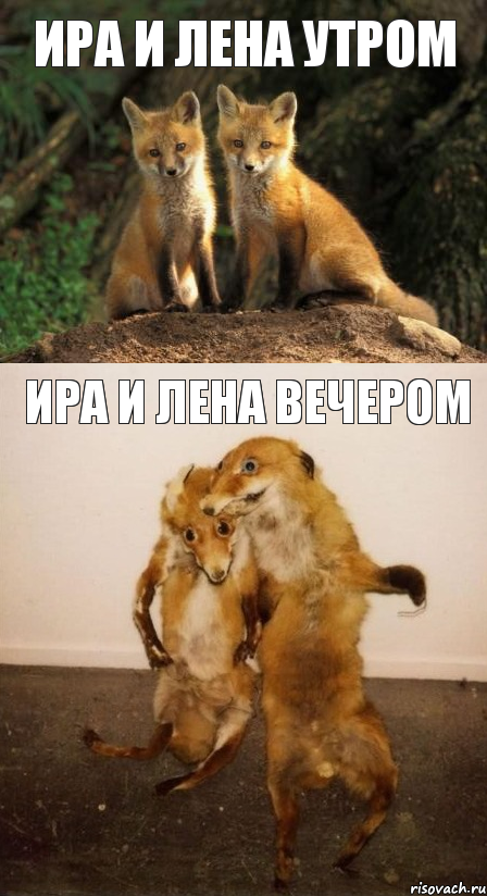 ИРА И ЛЕНА УТРОМ ИРА И ЛЕНА ВЕЧЕРОМ