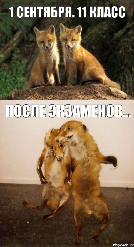 1 сентября. 11 класс После экзаменов...